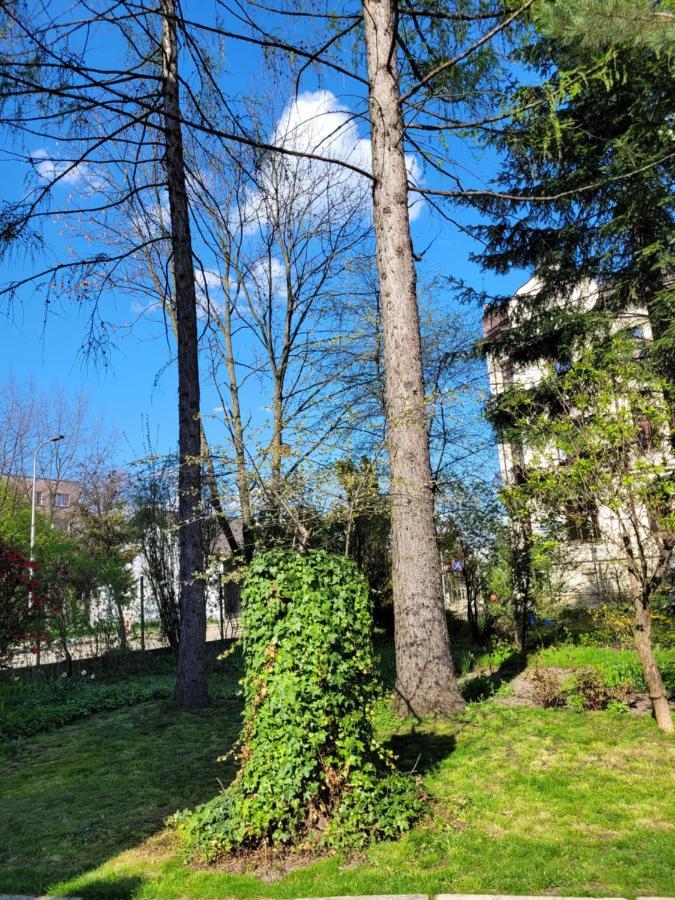 Cichy Apartament W Centrum Nowy Sacz Bagian luar foto